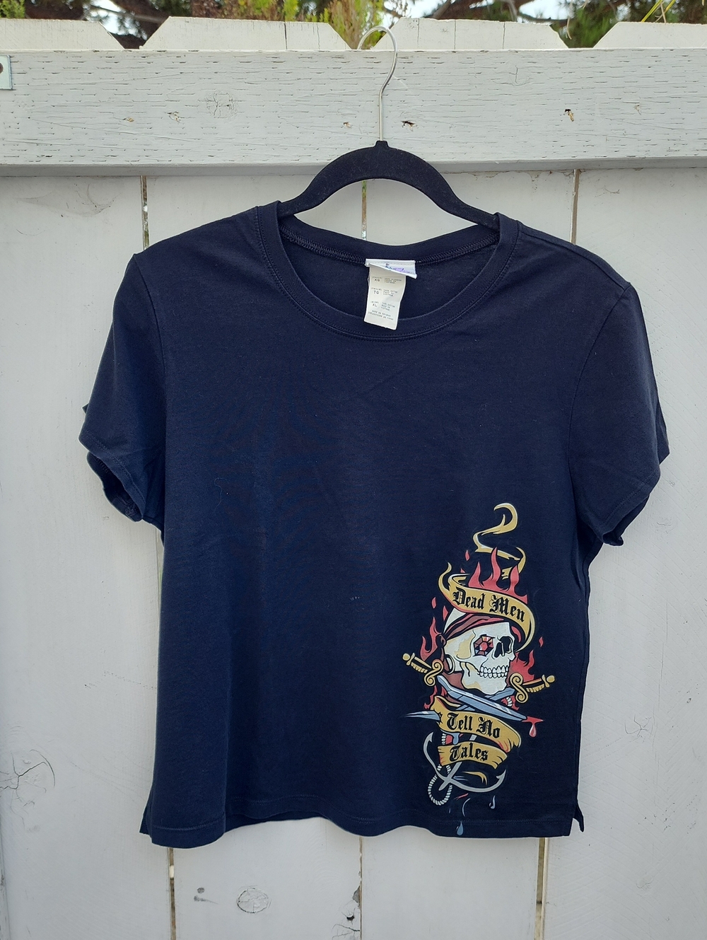 Disneyland Top